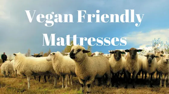 Vegan-Friendly-Mattresses Palmpring Organic Mattress
