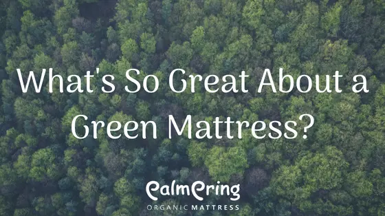 What-s-So-Great-About-a-Green-Mattress Palmpring Organic Mattress