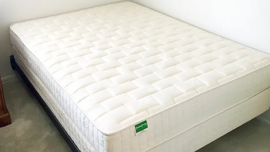 Palmpring-Foundation-vs.-Conventional-Box-Spring Palmpring Organic Mattress