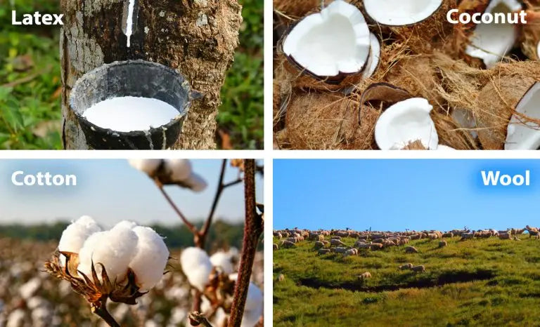 Making-a-Mattress-Its-All-in-the-Layers Palmpring Organic Mattress