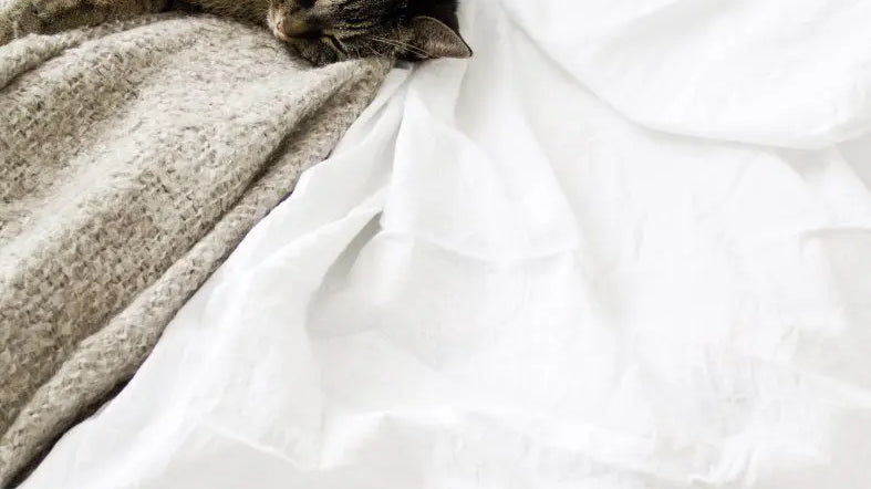 Keeping-Your-Bedding-Clean-and-Fresh Palmpring Organic Mattress