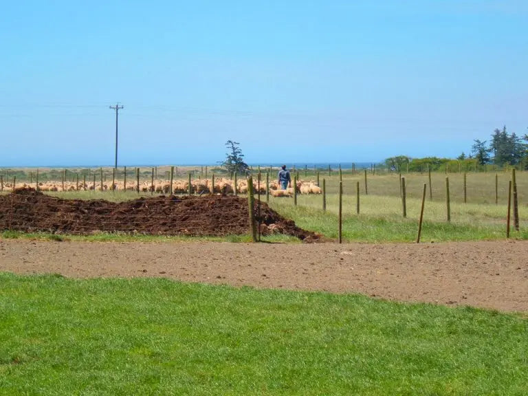 Making-a-Mattress-Organic-Wool Palmpring Organic Mattress