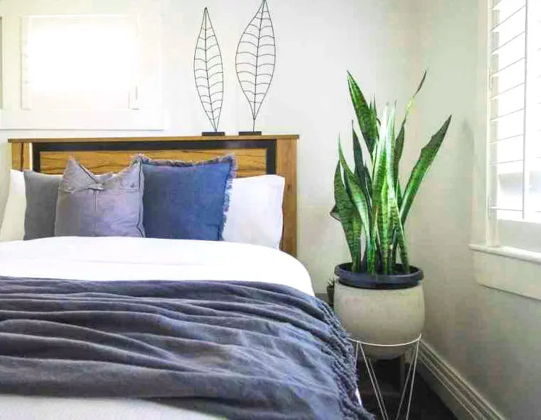 Air-Quality-and-a-Good-Night-s-Sleep Palmpring Organic Mattress