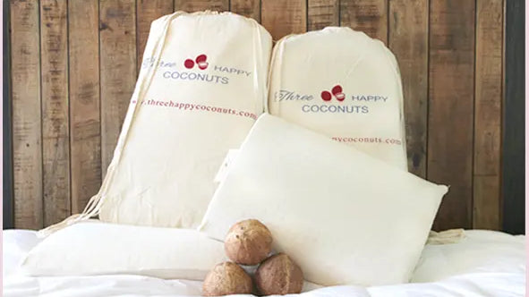 Palmpring-Pillows-Explained Palmpring Organic Mattress