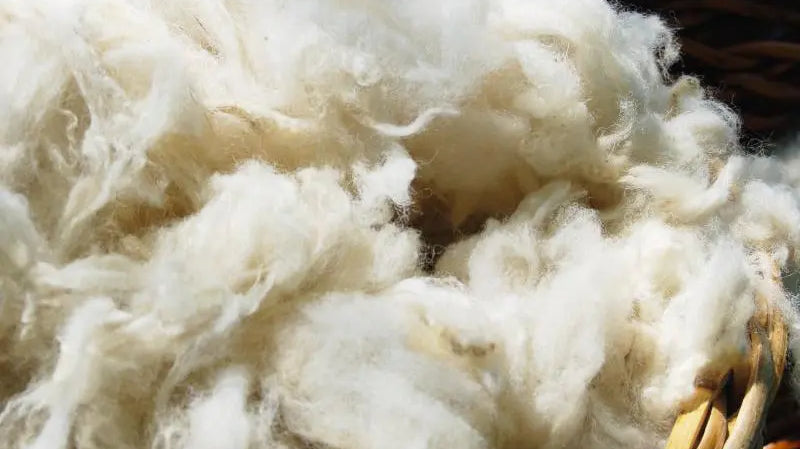 Wool-as-a-Natural-Fire-Retardant Palmpring Organic Mattress