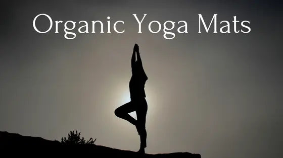 Organic-Yoga-Mats Palmpring Organic Mattress