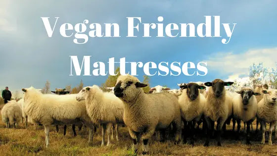 Vegan-Friendly-Mattresses Palmpring Organic Mattress