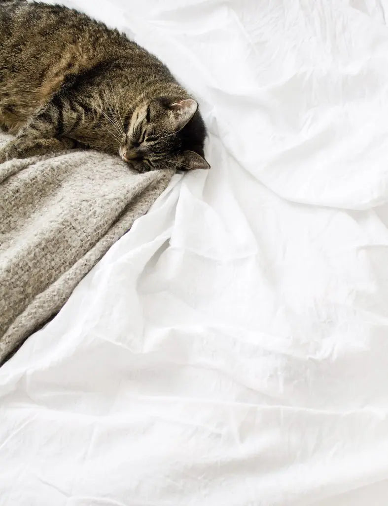 Keeping-Your-Bedding-Clean-and-Fresh Palmpring Organic Mattress