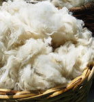 Wool Pillow Palm Pring